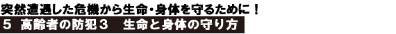 p5.gif